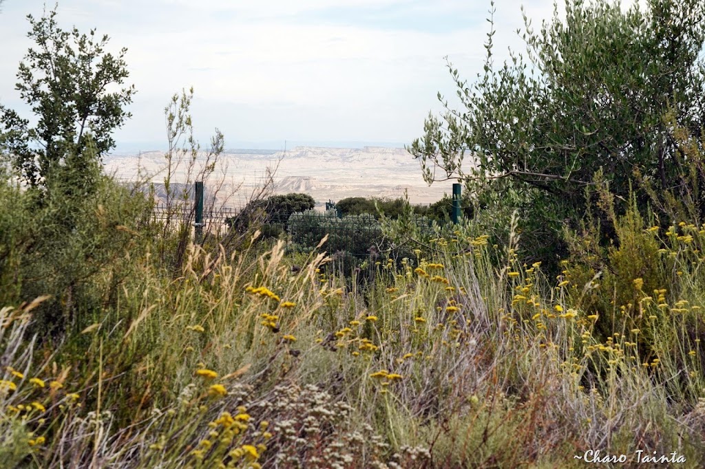 Sendaviva, Parque de la Naturaleza de Navarra - Foto 1