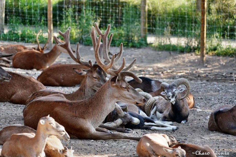 Sendaviva, Parque de la Naturaleza de Navarra - Foto 6