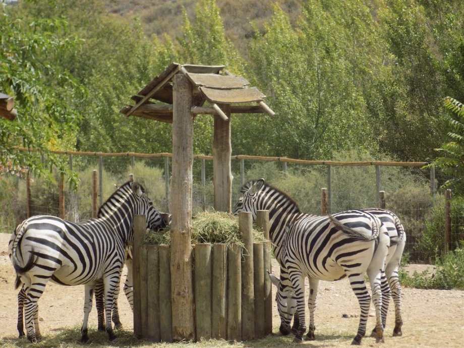 Sendaviva, Parque de la Naturaleza de Navarra - Foto 7