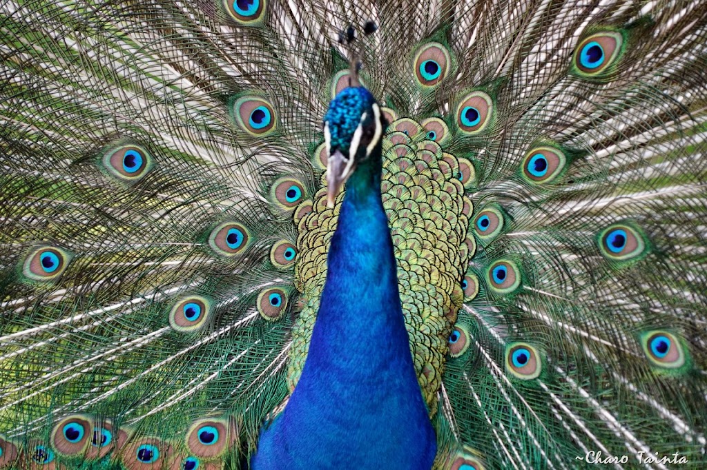 Sendaviva, Parque de la Naturaleza de Navarra - Foto 1