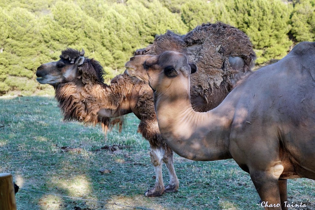 Sendaviva, Parque de la Naturaleza de Navarra - Foto 1