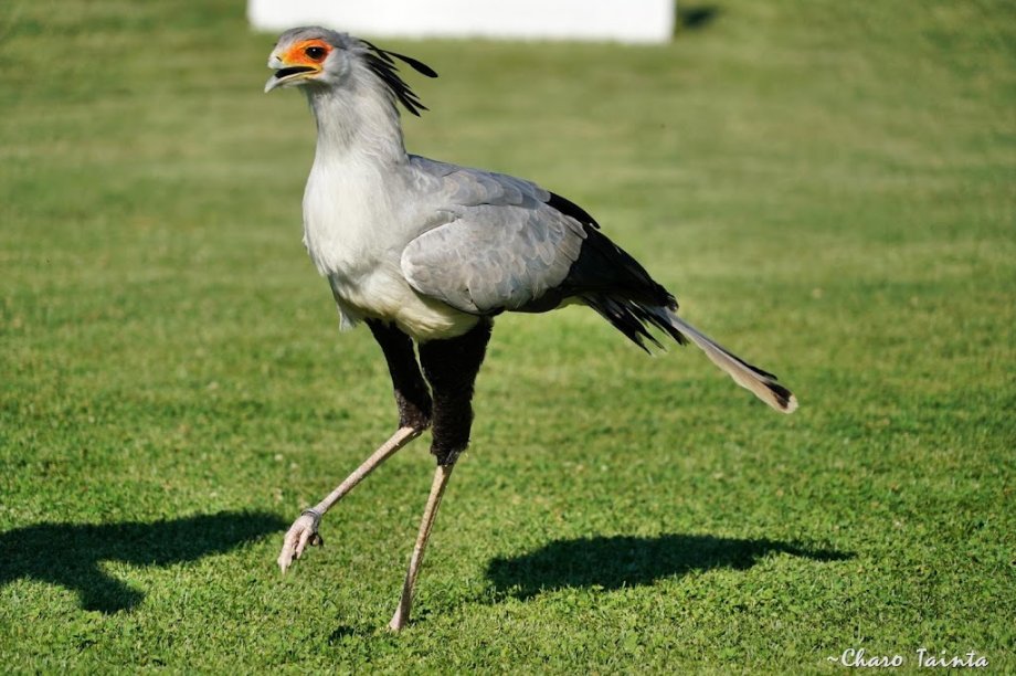 Sendaviva, Parque de la Naturaleza de Navarra - Foto 10