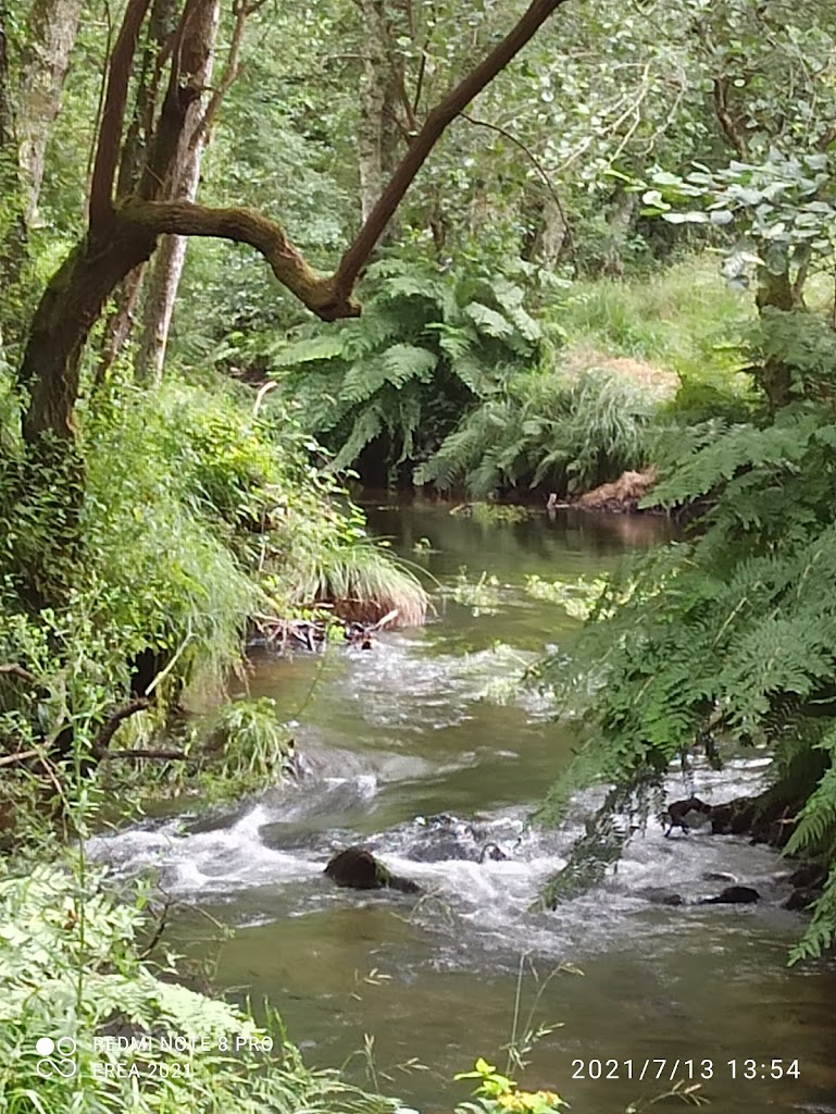 Área Recreativa de Gabenlle - Foto 5