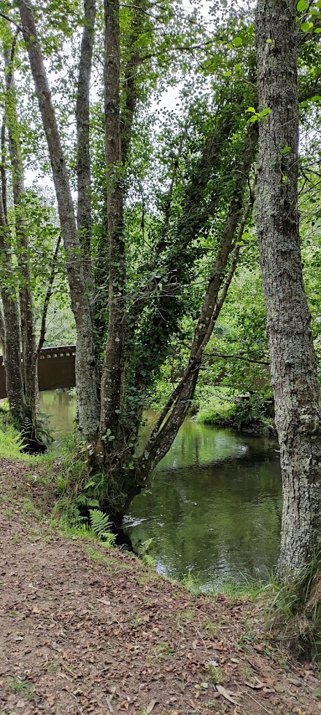 Área Recreativa de Gabenlle - Foto 8