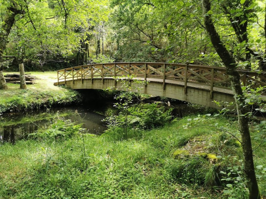 Área Recreativa de Gabenlle - Foto 10