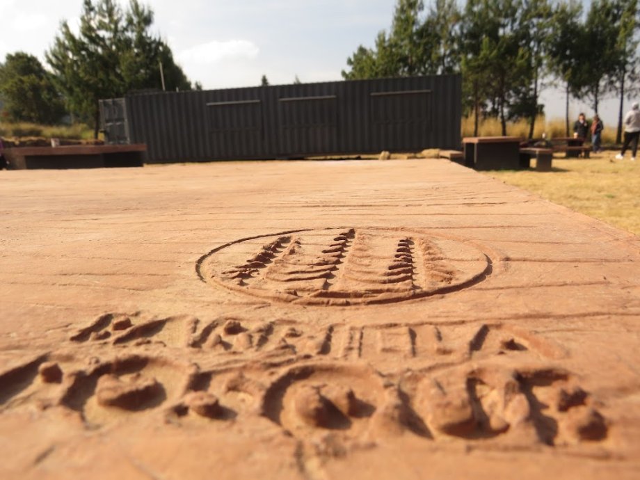 Parrilla Bosque - Foto 5