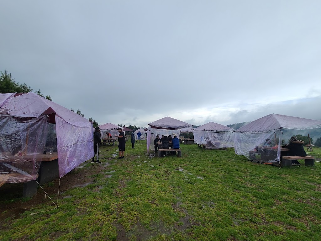 Parrilla Bosque - Foto 1