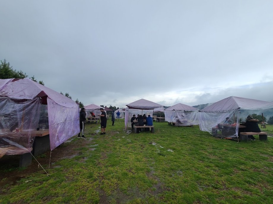 Parrilla Bosque - Foto 7