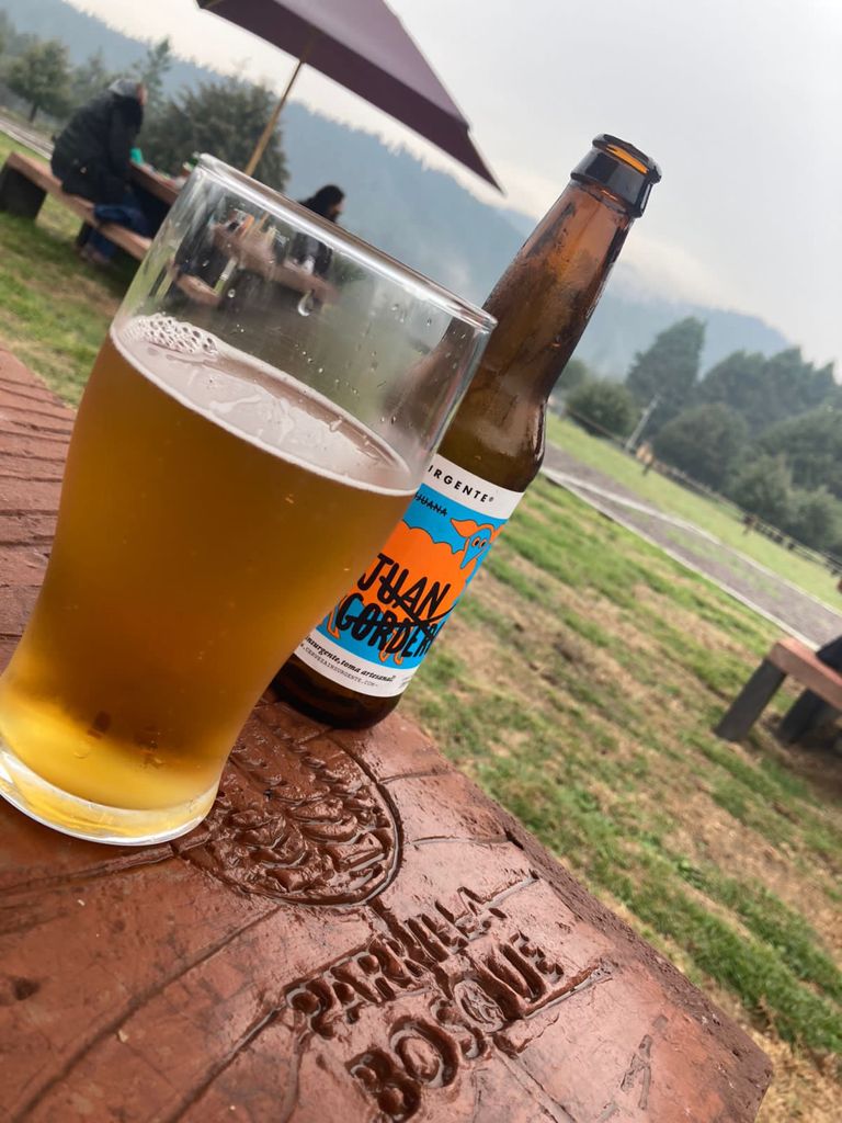 Parrilla Bosque - Foto 1