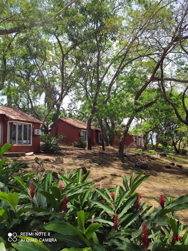 Playa Juncal - Foto 4