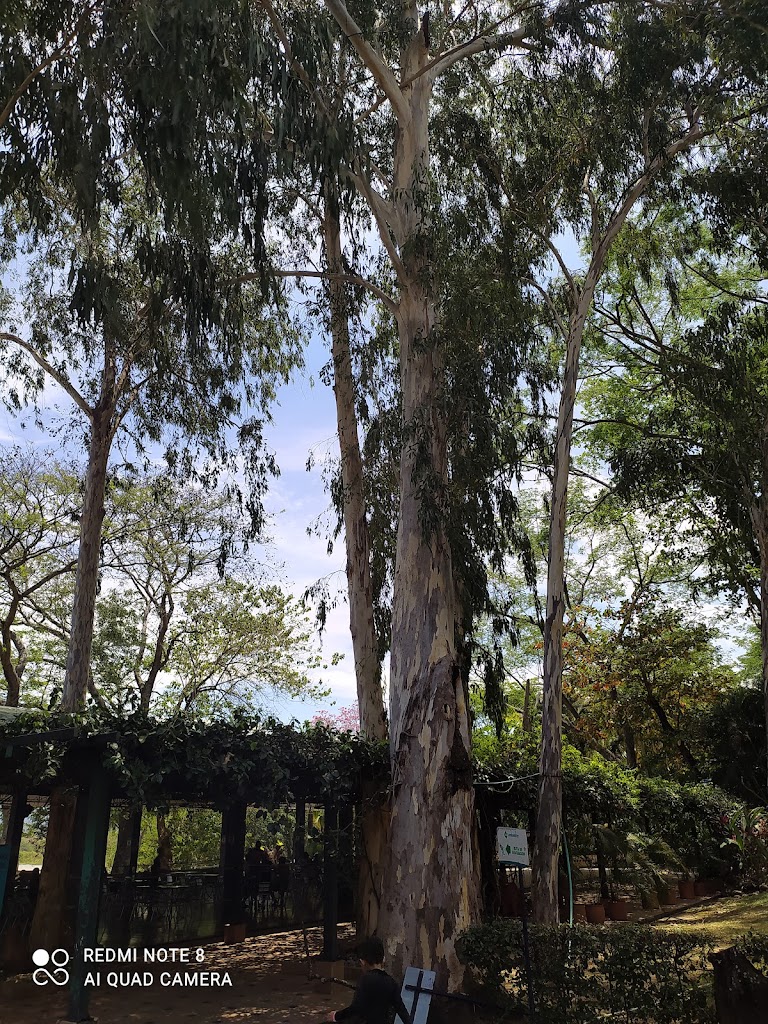 Playa Juncal - Foto 7