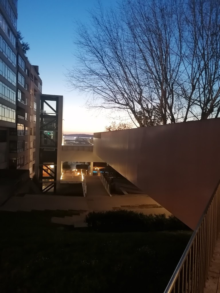 Parque Camilo José Cela 6