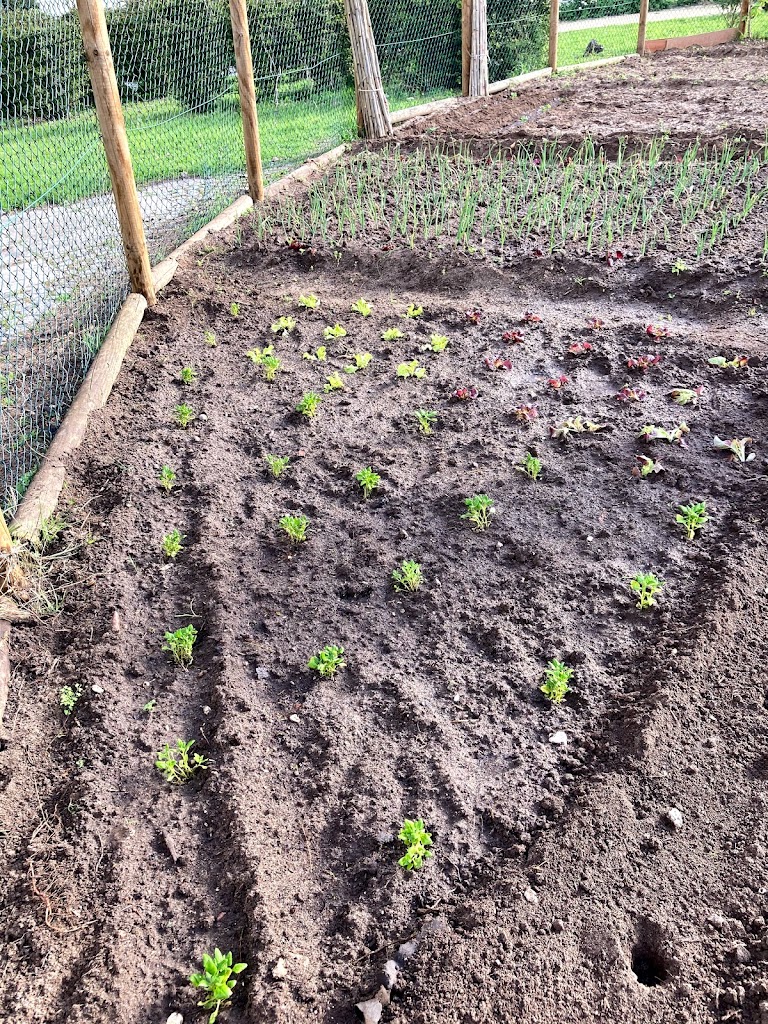 International Amnesty Park - Foto 2