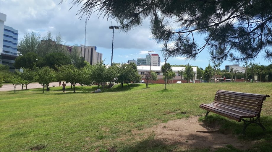 International Amnesty Park - Foto 3