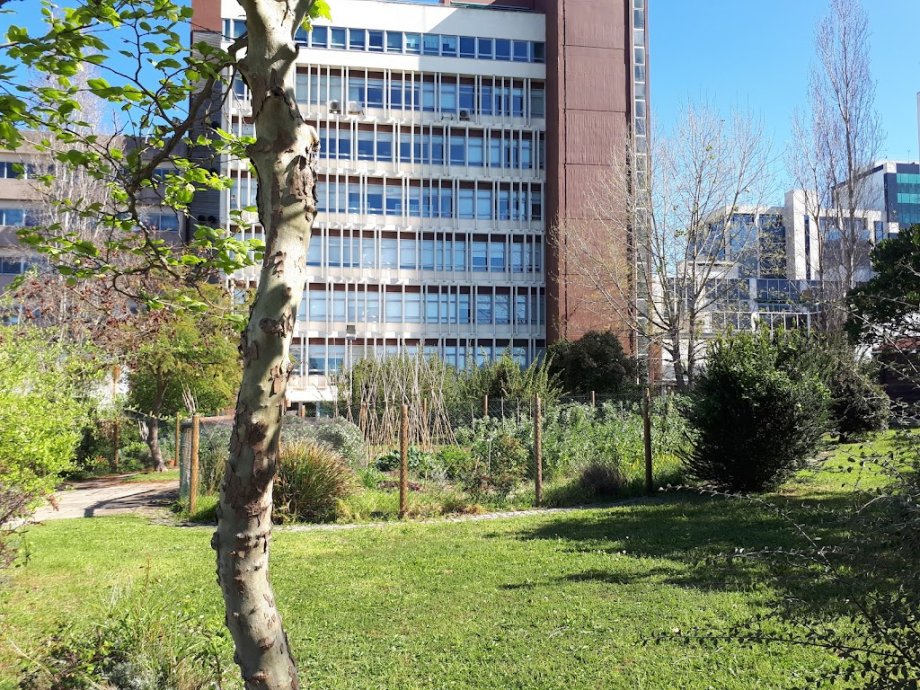 International Amnesty Park - Foto 5