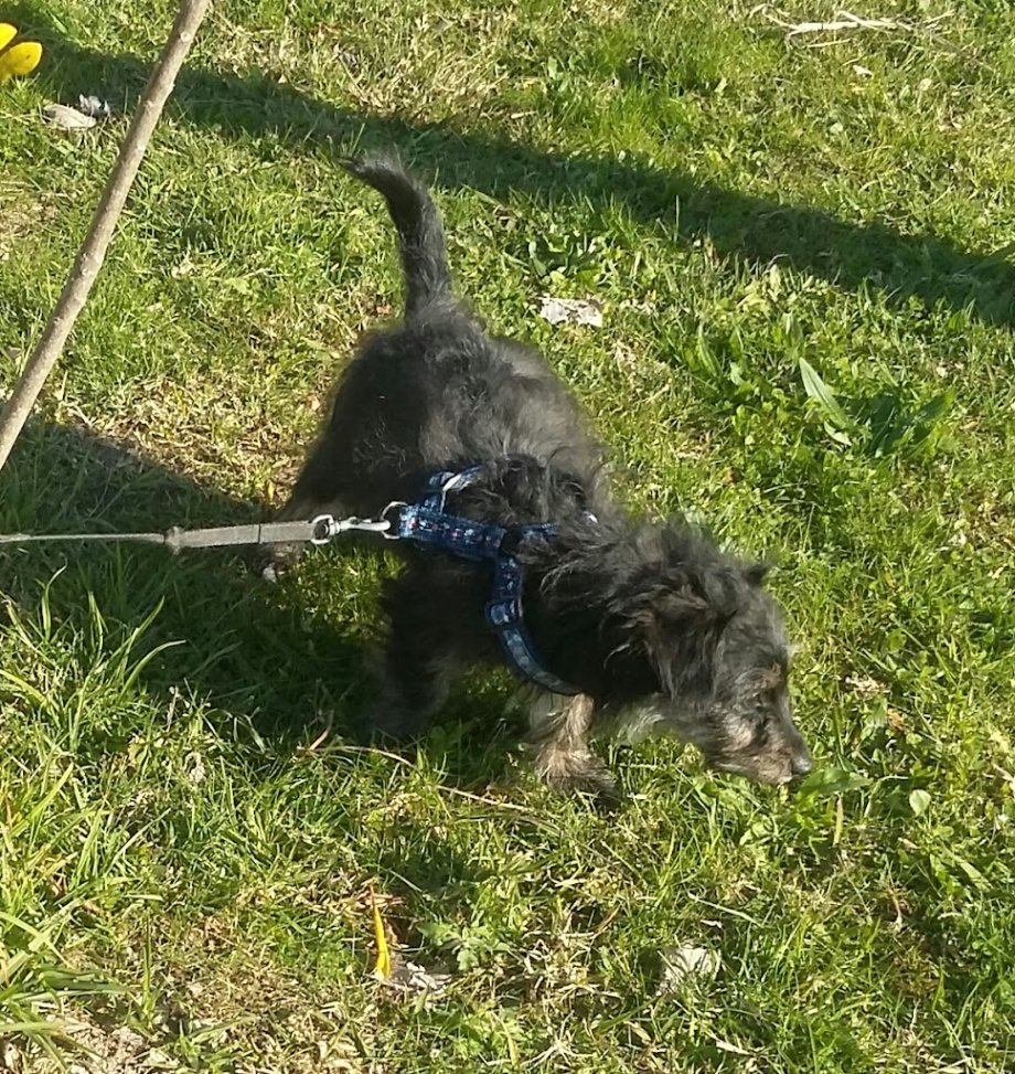 International Amnesty Park - Foto 9