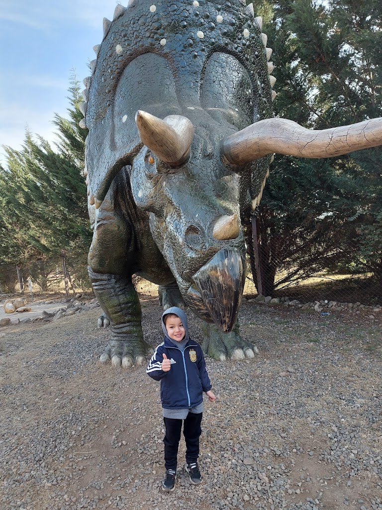 Arca de Noé - Parque aventura - Minizoo 3