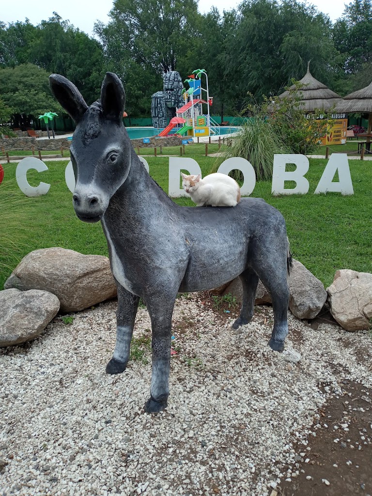 Arca de Noé - Parque aventura - Minizoo - Foto 1