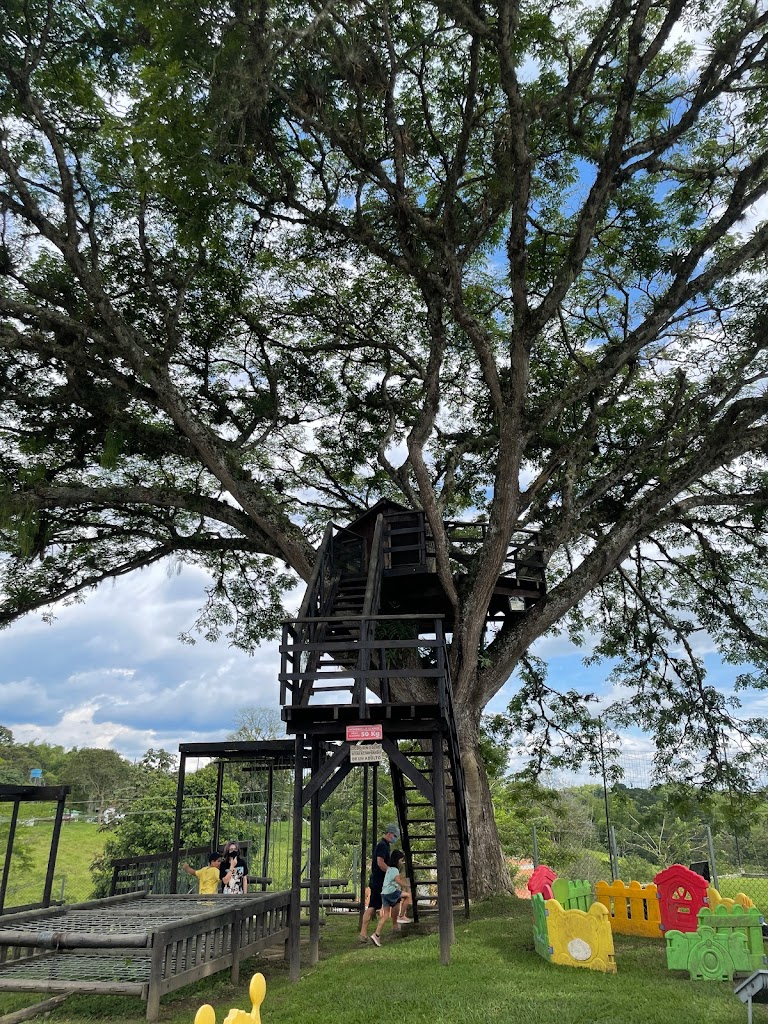 Divino Niño Parrilla Bar - Foto 5