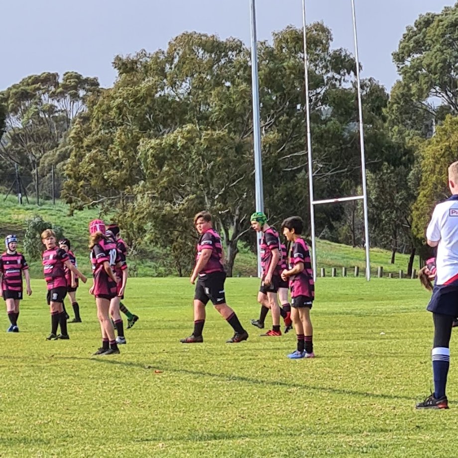 Wilfred Taylor Reserve - Foto 7