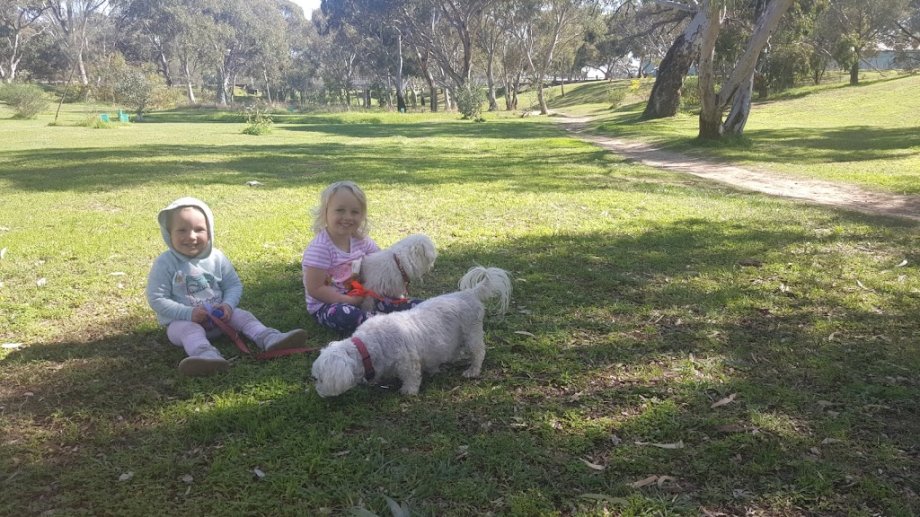 Wilfred Taylor Reserve - Foto 10