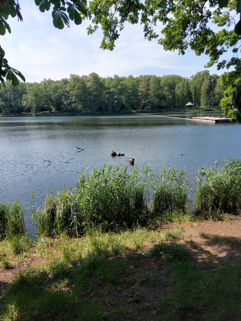 Jungfernheide Volkspark - Foto 1