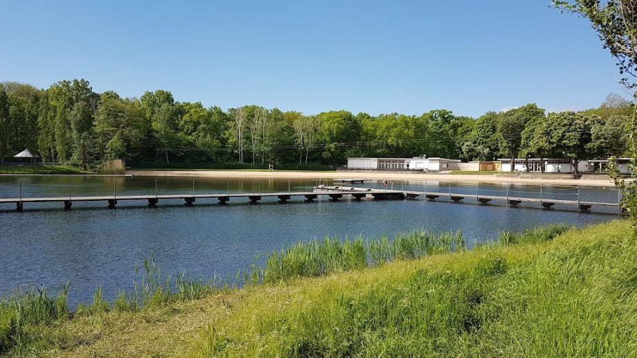 Jungfernheide Volkspark - Foto 4