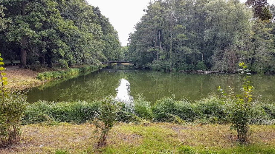 Jungfernheide Volkspark - Foto 6