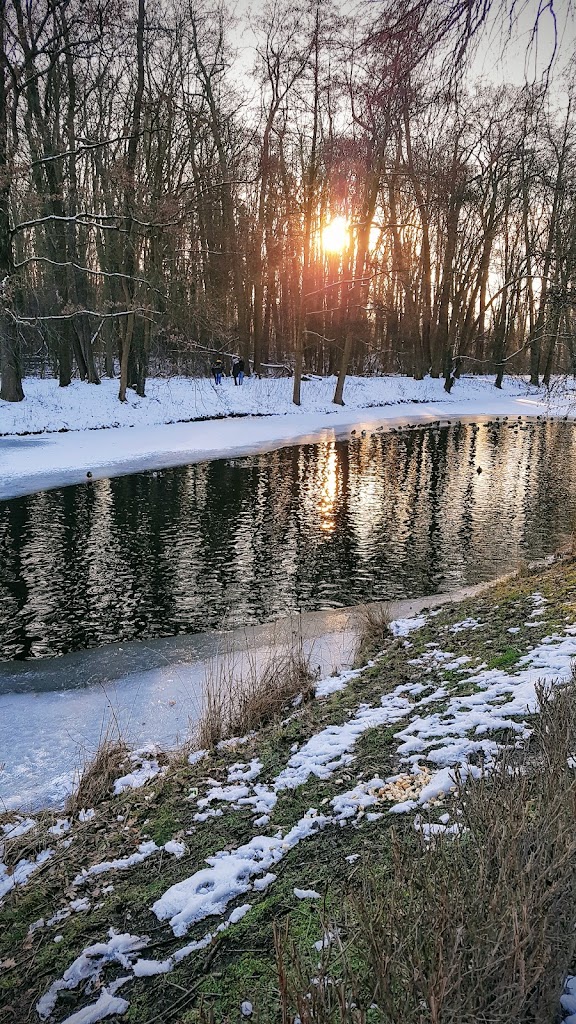 Jungfernheide Volkspark - Foto 1