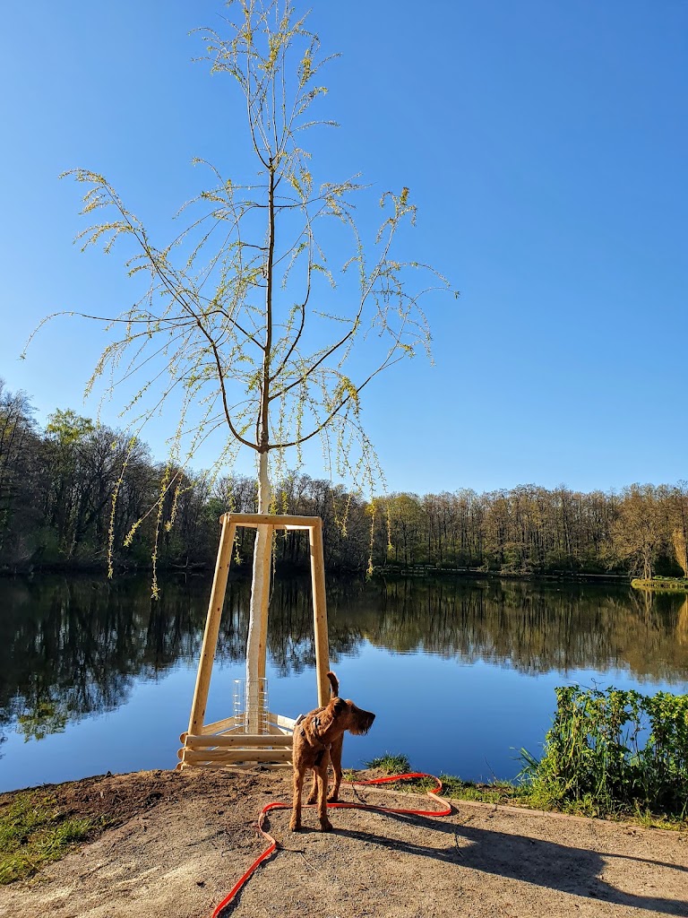 Jungfernheide Volkspark - Foto 10