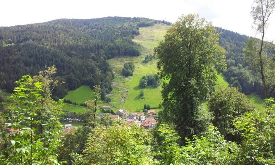Hasenhorn Rodelbahn Todtnau - Foto 4