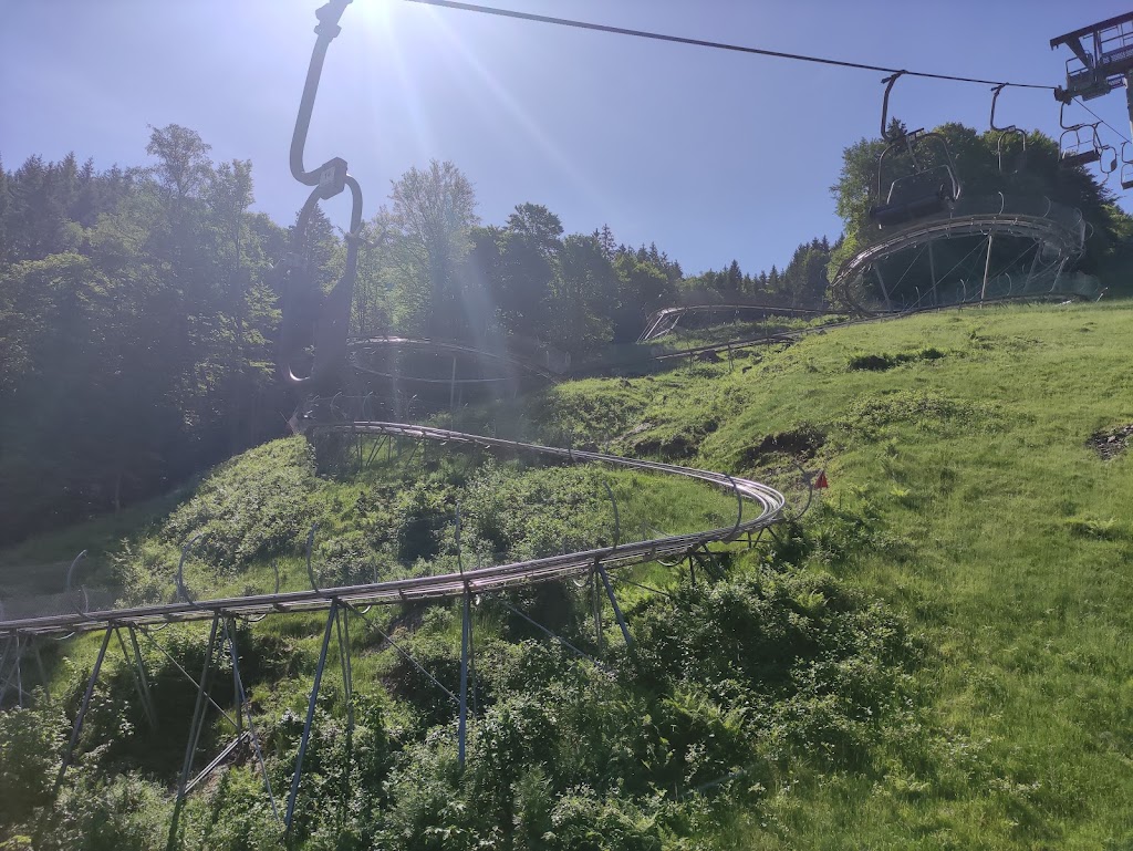 Hasenhorn Rodelbahn Todtnau - Foto 1