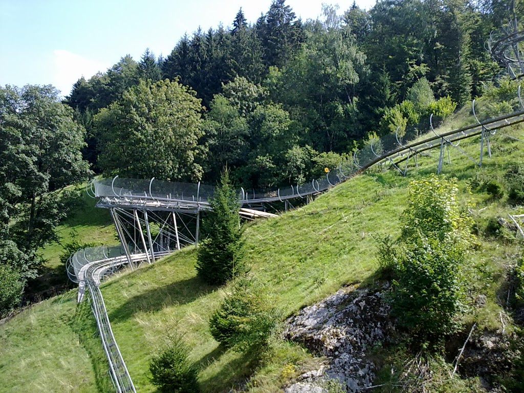 Hasenhorn Rodelbahn Todtnau - Foto 1
