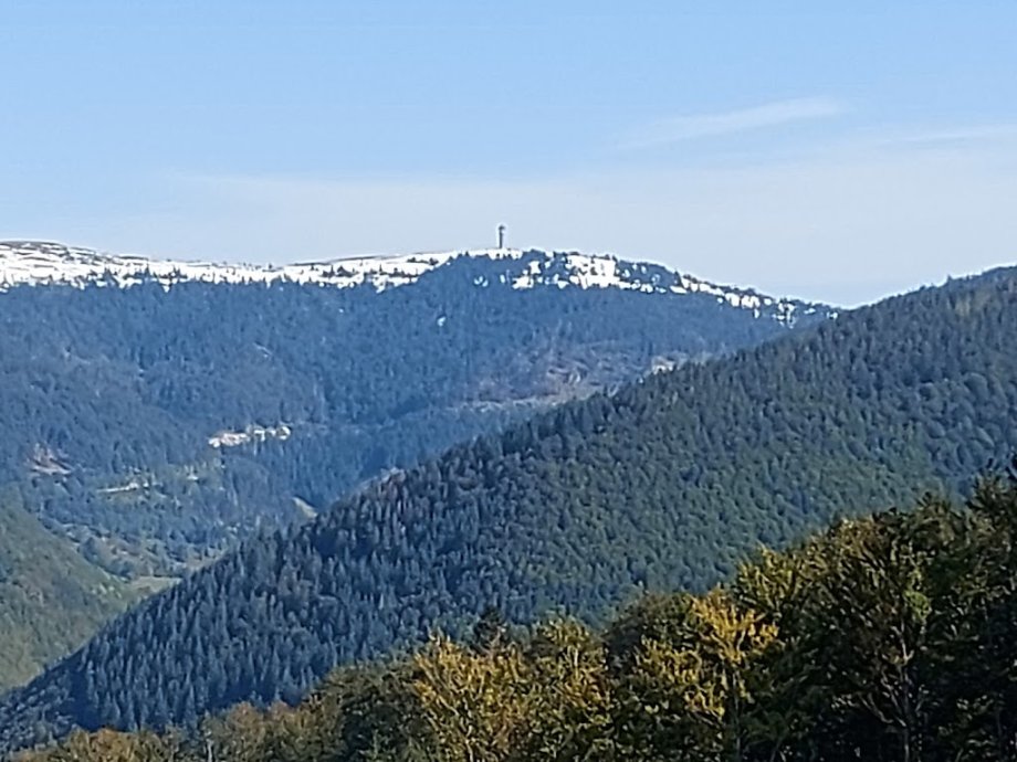Hasenhorn Rodelbahn Todtnau - Foto 7