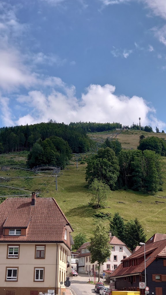 Hasenhorn Rodelbahn Todtnau - Foto 8