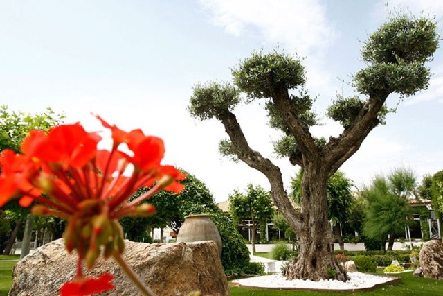 Complejo París - Foto 2