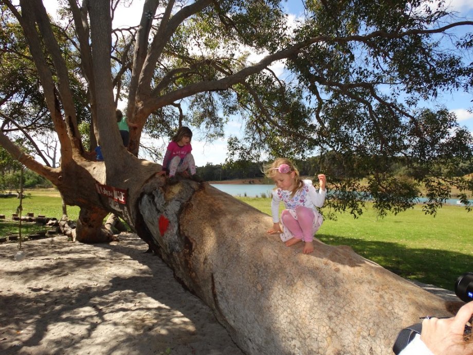 Yallingup Maze - Foto 6