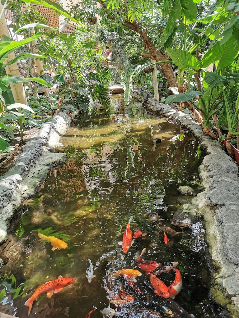 Parc aquatique Aqua Mundo Center Parcs Le Bois aux Daims - Foto 1