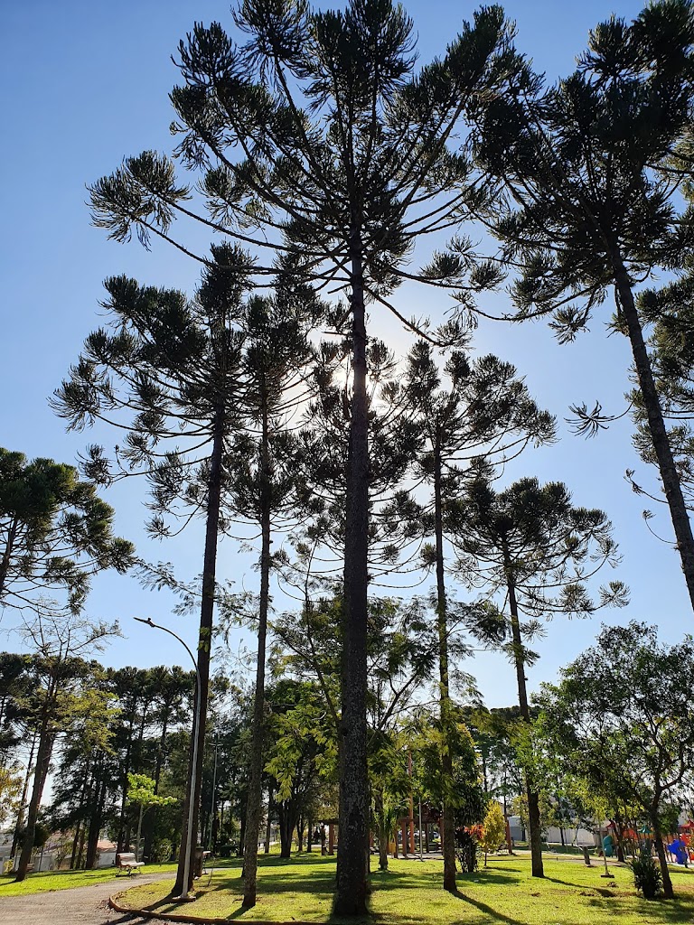 Luba Klabin Square - Foto 1