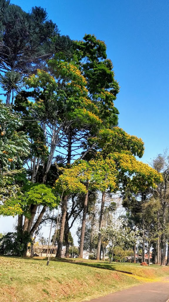 Luba Klabin Square - Foto 10