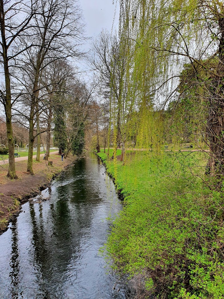 Bürgerpark Pankow - Foto 5