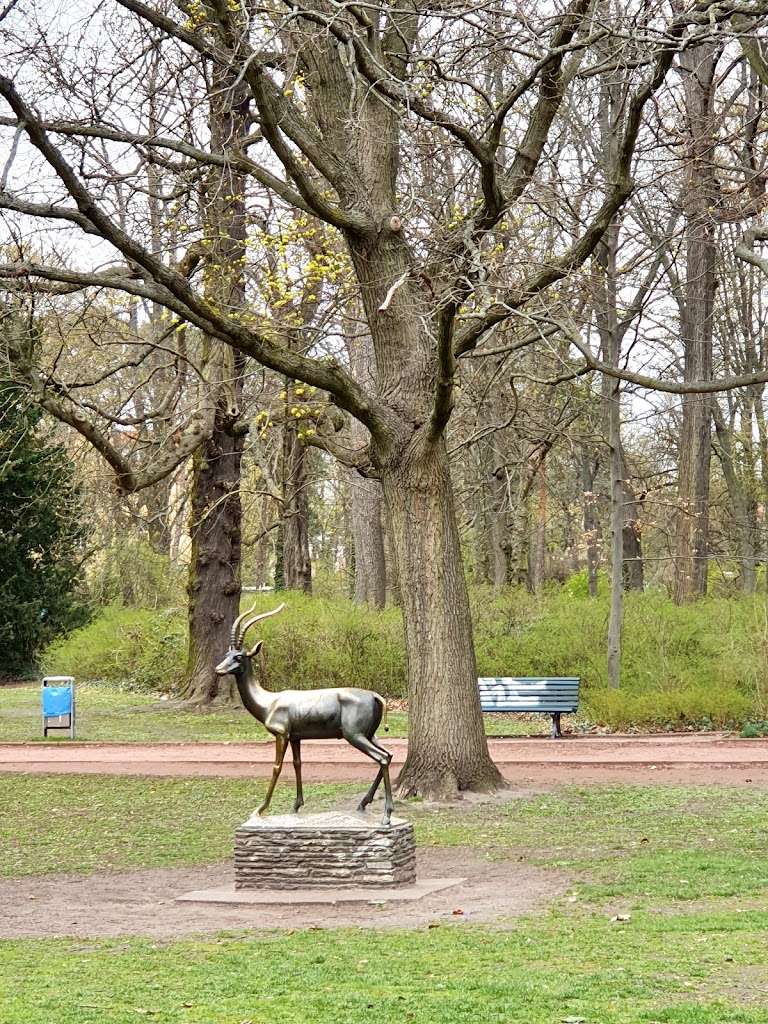 Bürgerpark Pankow - Foto 1