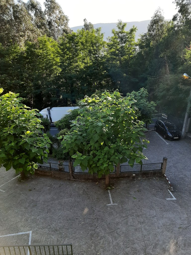 Restaurante Pachani Pizzería - Foto 1