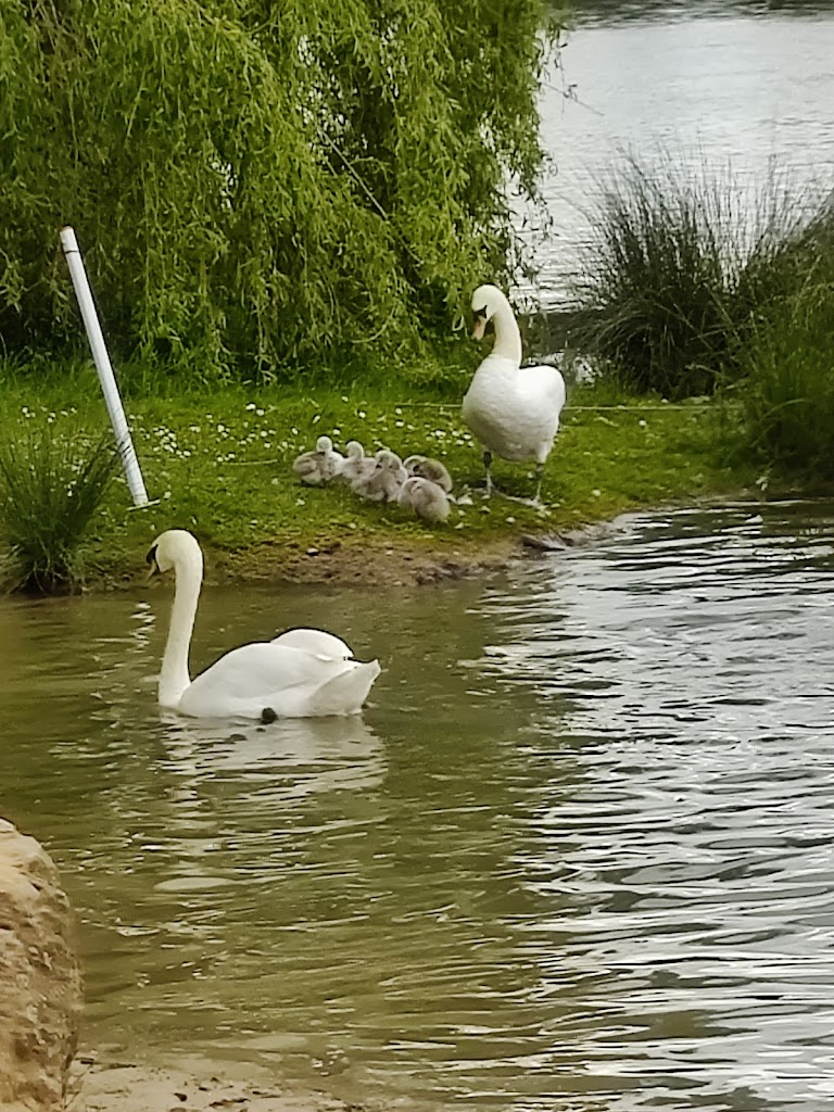 Cotswold Country Park & Beach - Foto 1