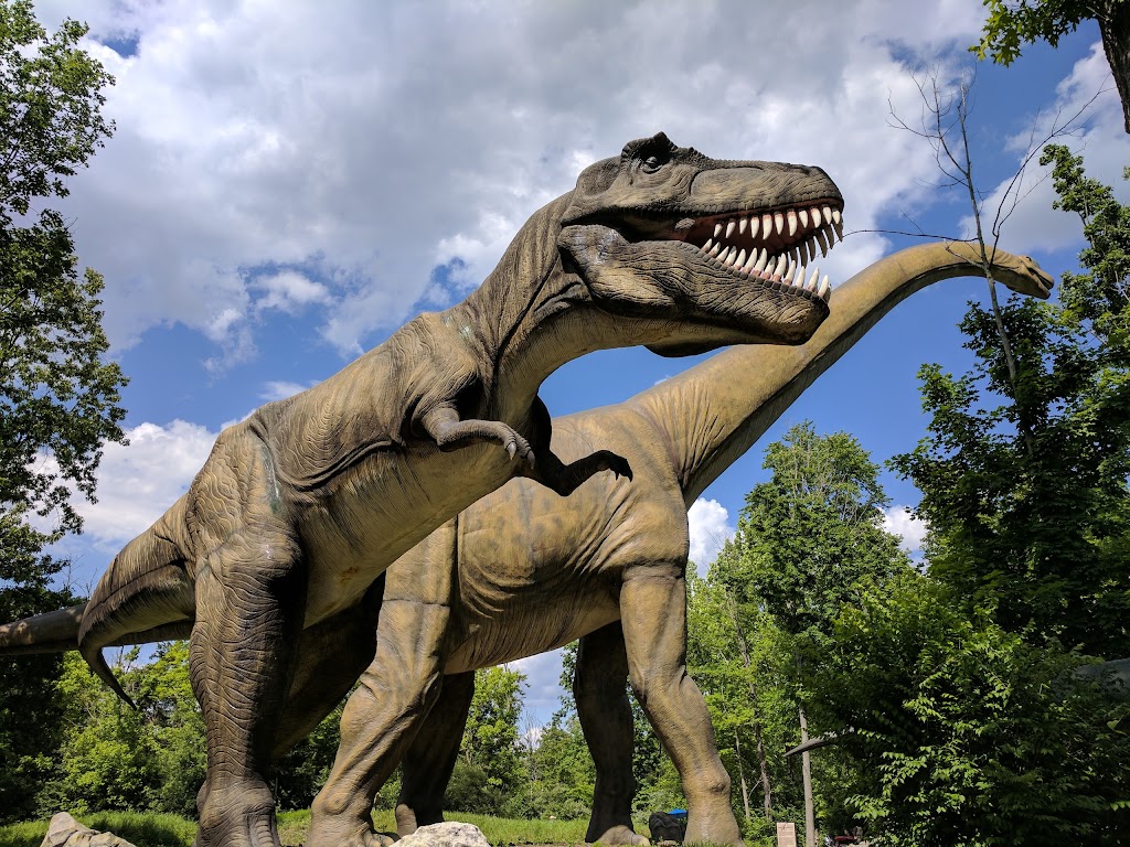 Kings Island - Foto 1