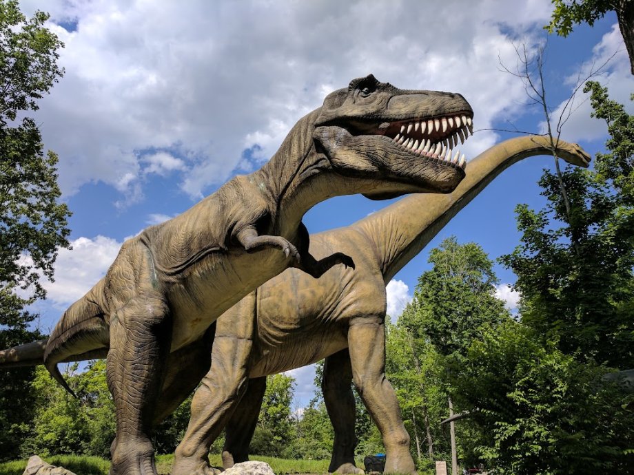 Kings Island - Foto 9