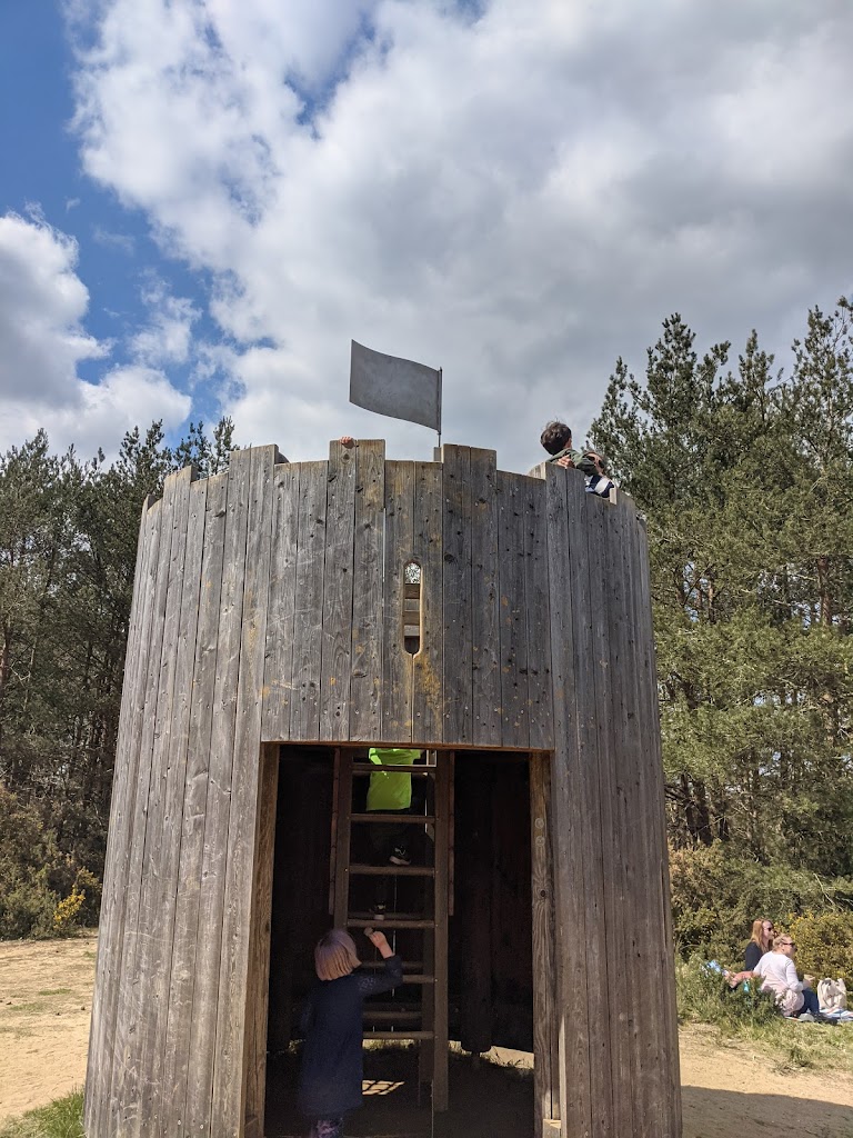 Hogmoor Inclosure Natural Play Area