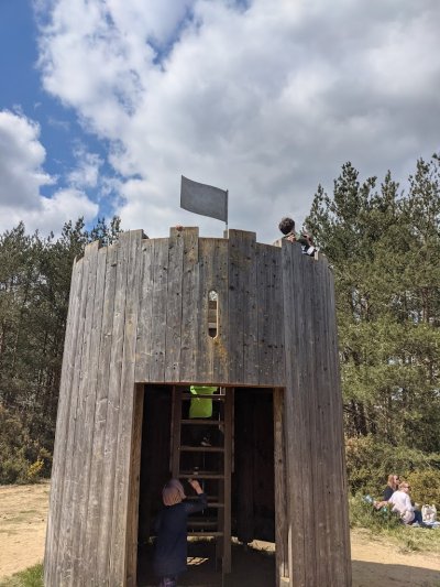 Hogmoor Inclosure Natural Play Area