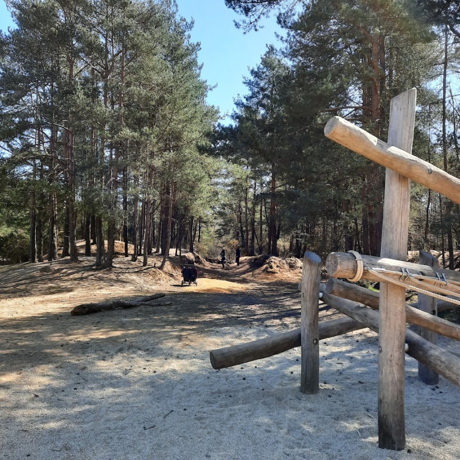 Hogmoor Inclosure Natural Play Area - Foto 4