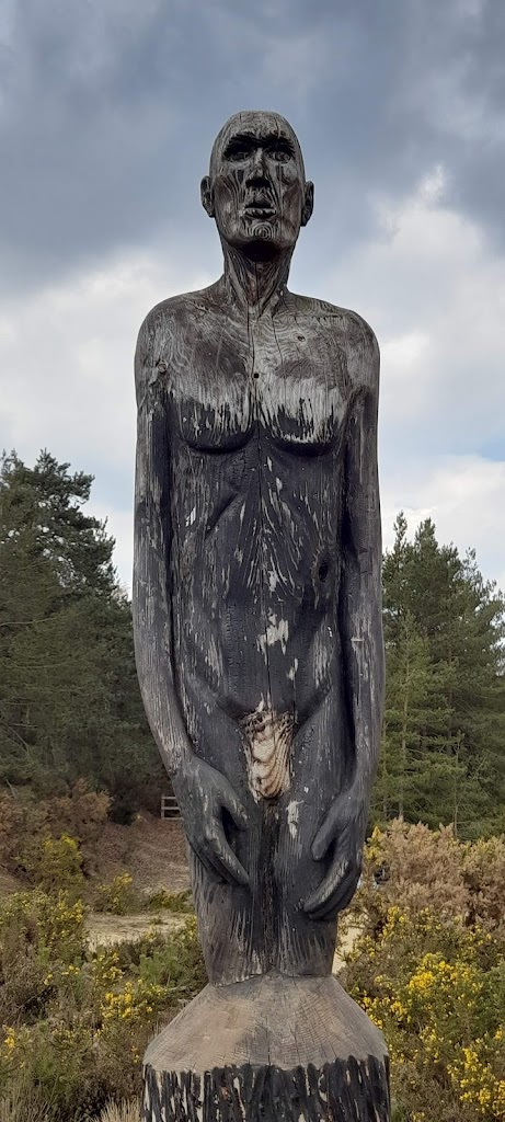 Hogmoor Inclosure Natural Play Area - Foto 5